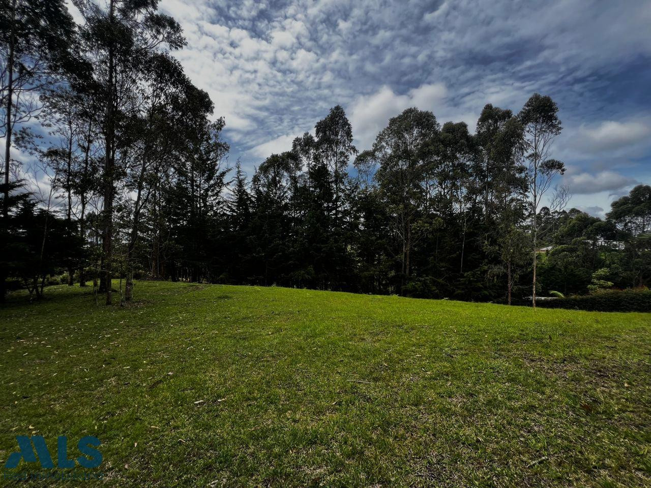 VENTA LOTE PINAR DE QUIRAMA rionegro - v quirama