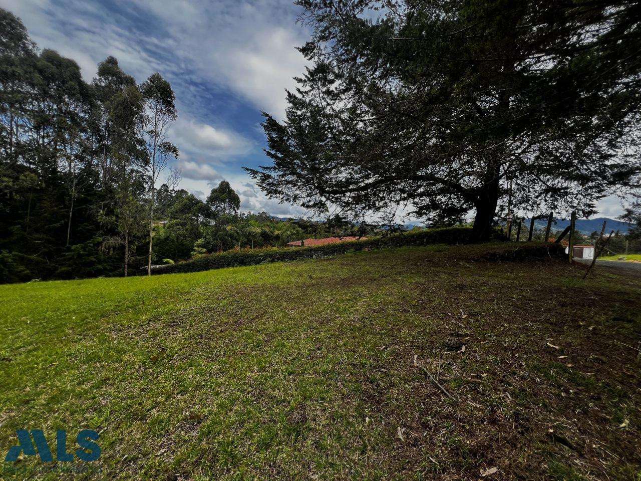 VENTA LOTE PINAR DE QUIRAMA rionegro - v quirama