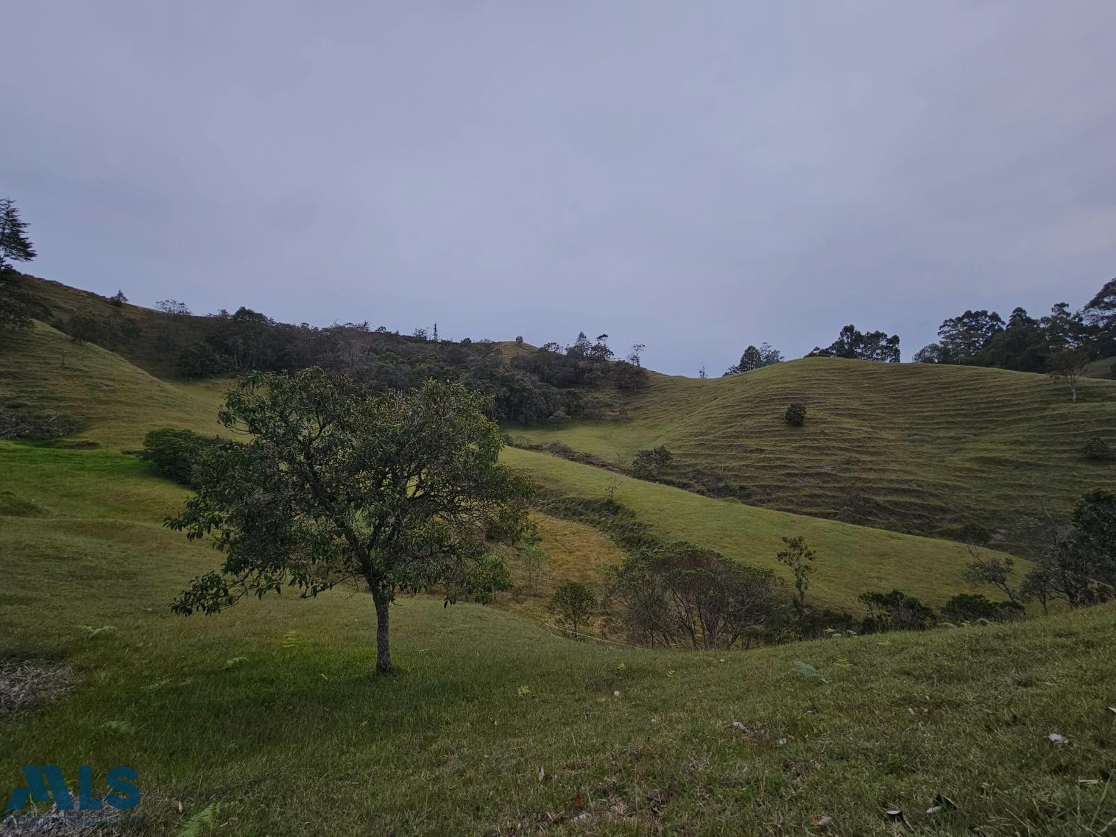 Construye tu hogar rodeado de naturaleza. el-retiro - v pantanillo