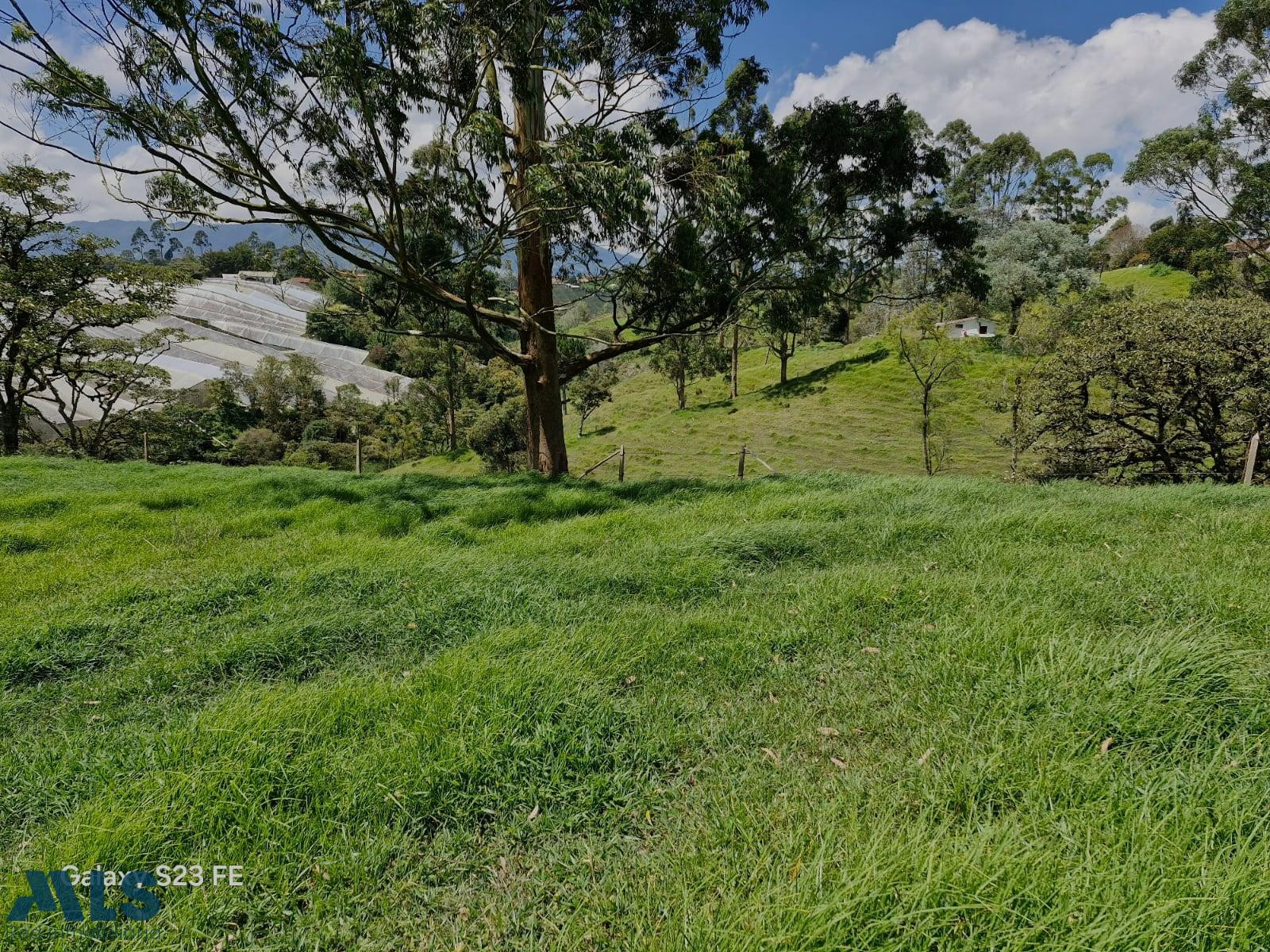 Lote Independiente Para Venta En El Carmen de Viboral el-carmen - v las garzonas