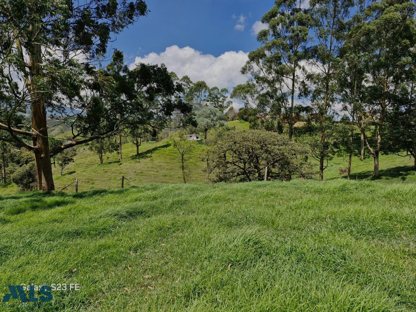 Lote Independiente Para Venta En El Carmen de Viboral el-carmen - v las garzonas