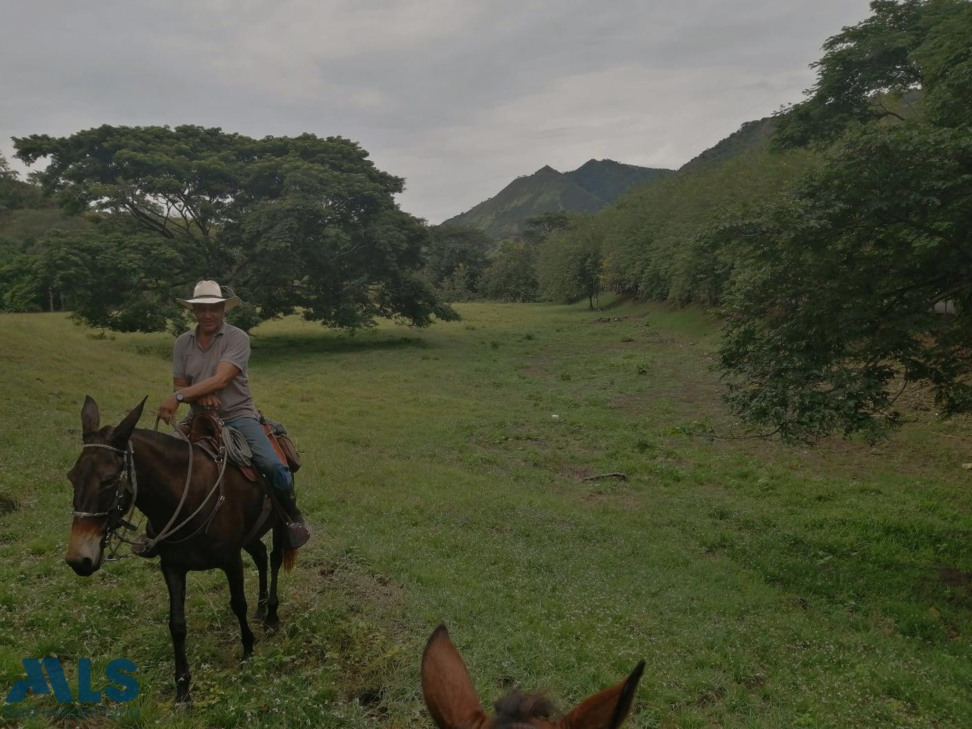 Lote en Venta Predio rural Anza santa-fe-de-antioquia - v kilometro 14