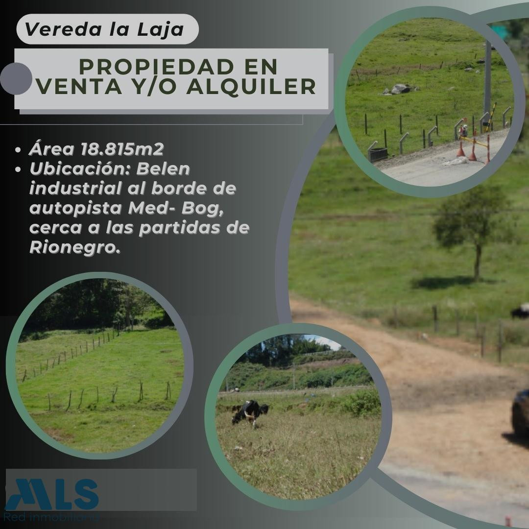 Lote en Venta Vereda La Loja Rionegro rionegro - autopista medellin bogota