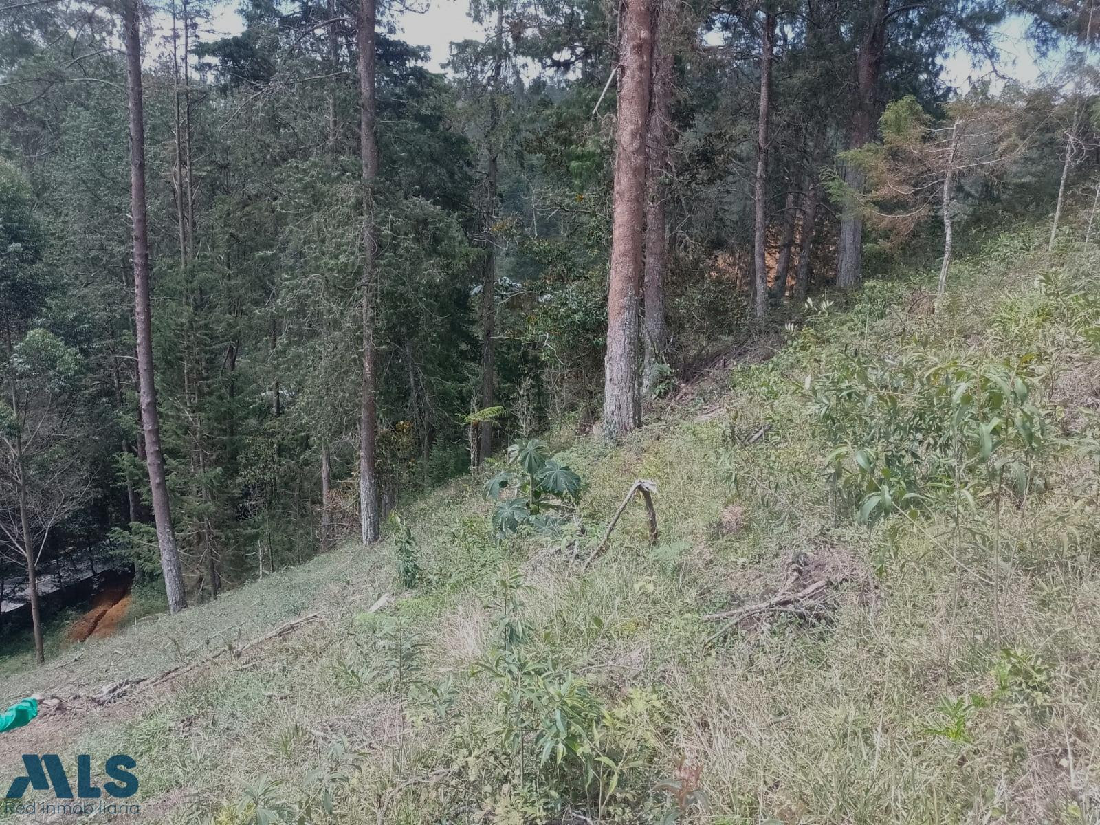 Tu refugio soñado te espera Lote El Retiro, zona campestre el-retiro - retiro campestre