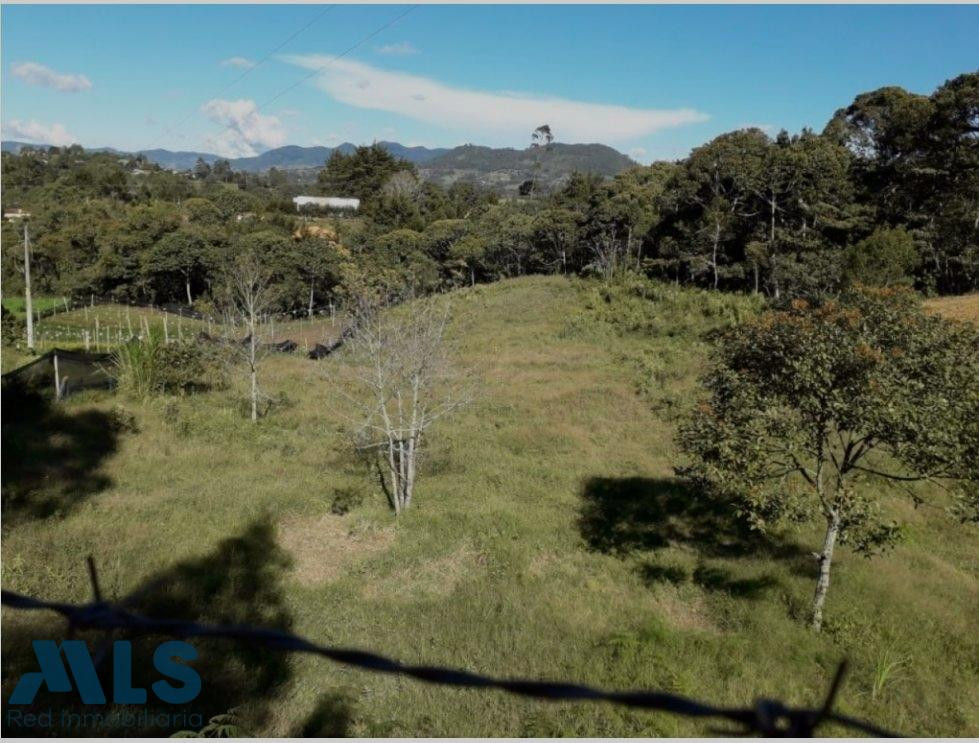 Lote independiente para venta en Rionegro - Cabeceras rionegro - cabeceras