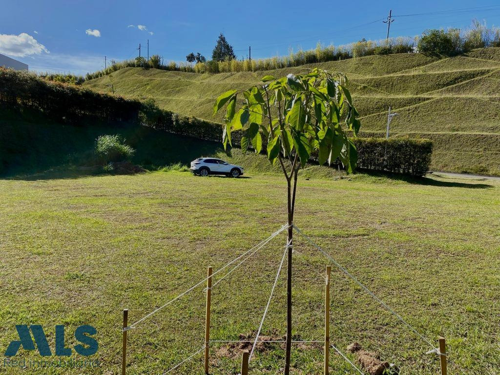 VENTA DE LOTE EN PARCELACIÓN EN RIONEGRO VEREDA LA MOSQUITA rionegro - v la mosquita rionegro