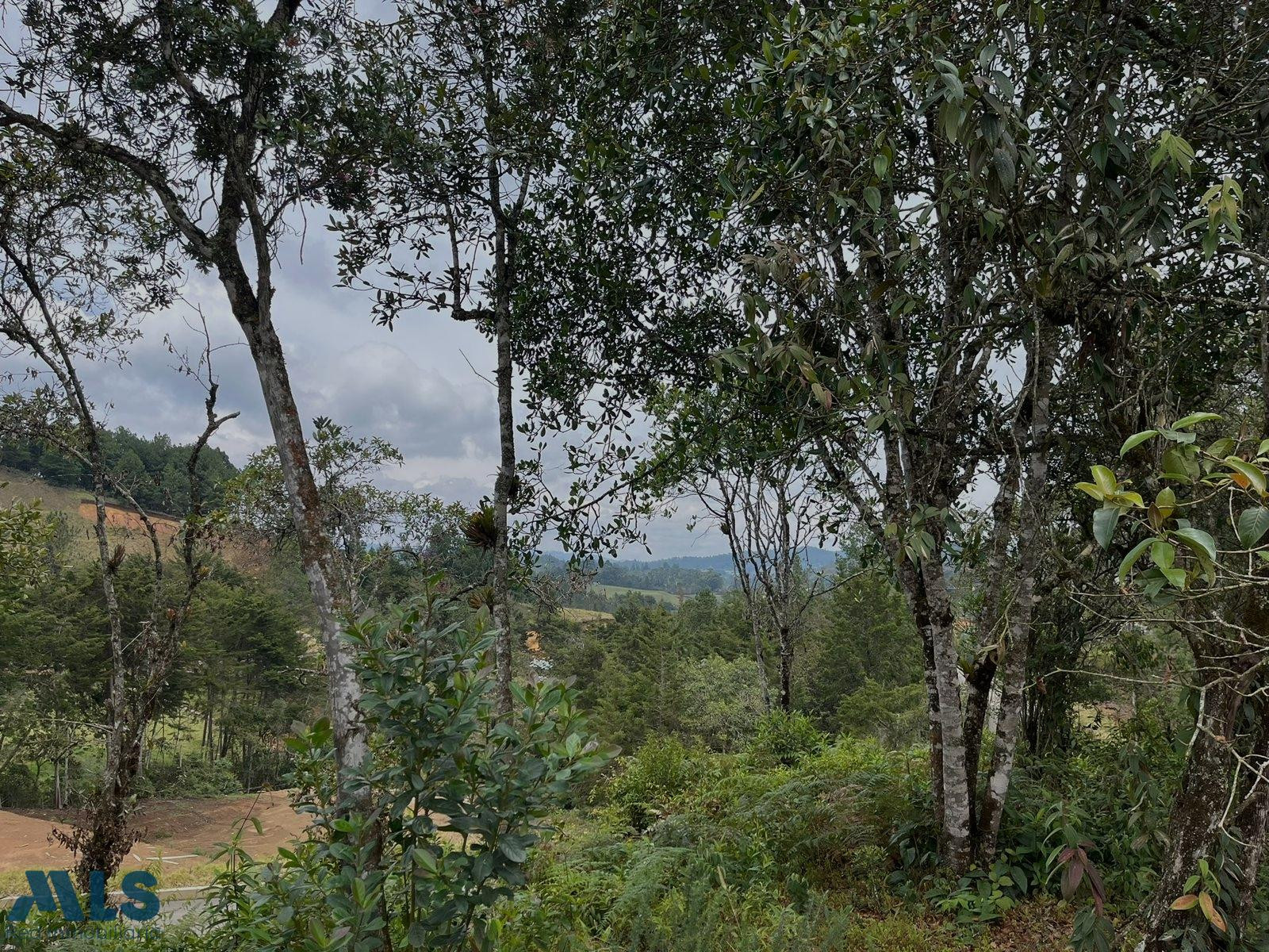 Lote con bosquecito en parcelación en el Retiro, Antioquia el-retiro - v don diego