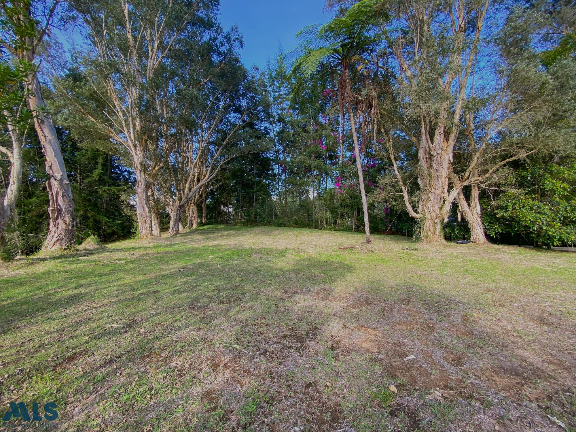 Lote independiente para la venta Rionegro rionegro - v llanogrande