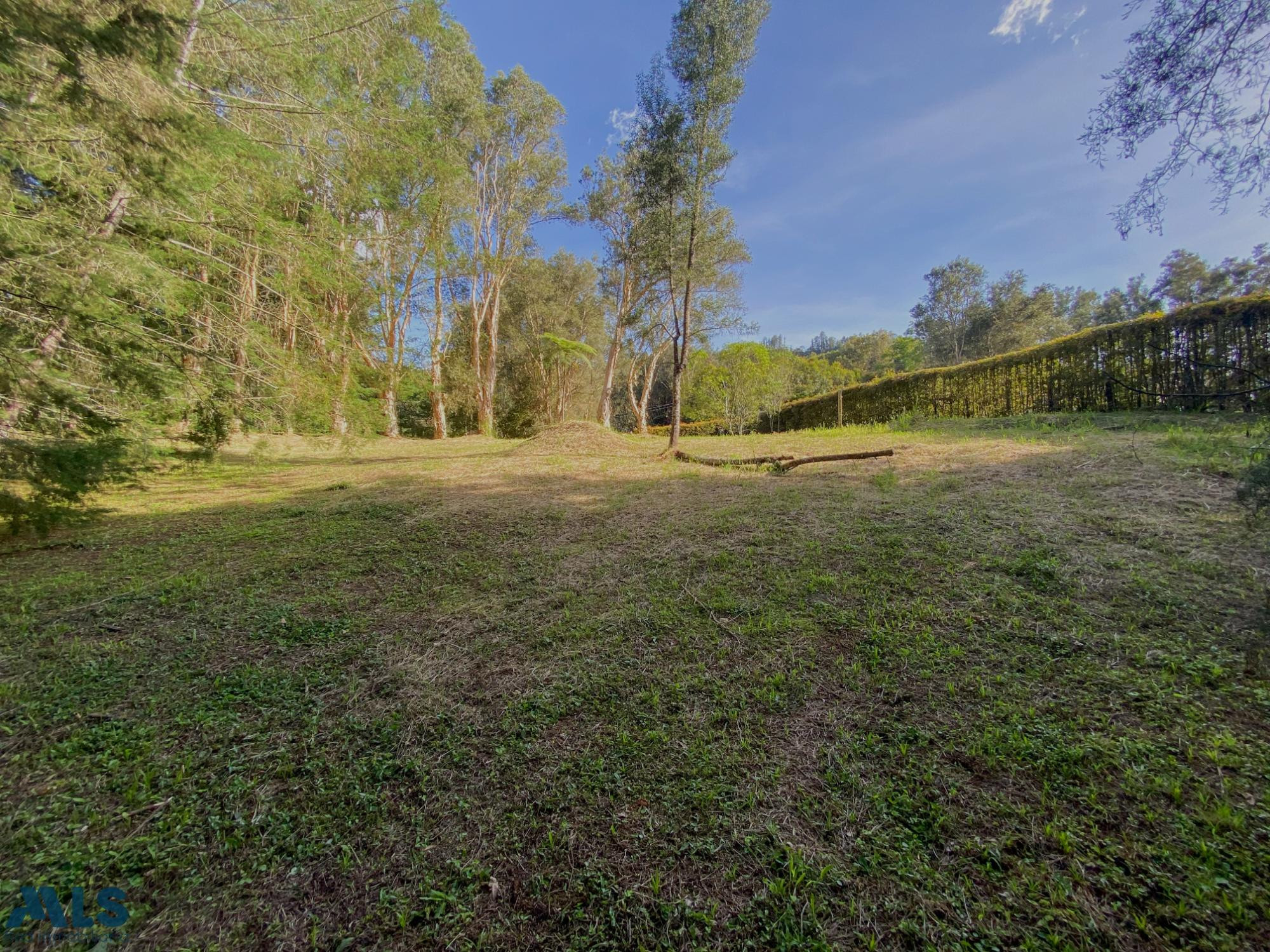 Lote independiente para la venta Rionegro rionegro - v llanogrande