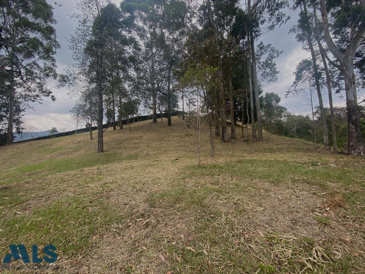 VENTA LOTE INDEPENDIENTE EN GUARNE ANTIOQUIA VEREDA MONTAÑEZ guarne - v montanes