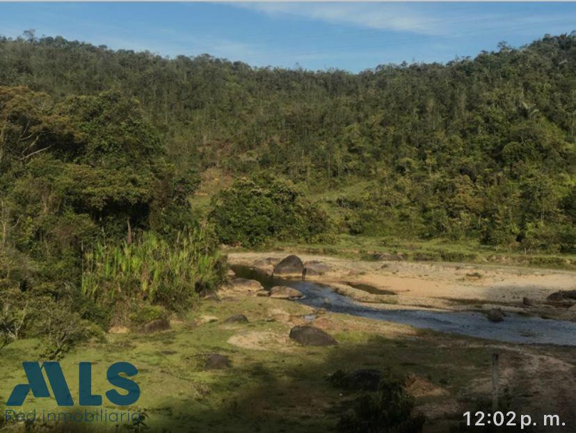 LOTE EN VENTA EN GUATAPE guatape - v quebrada arriba