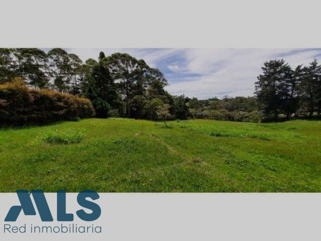 LOTE EN VENTA EN EN CARMEN DE VIBORAL el-carmen - rural