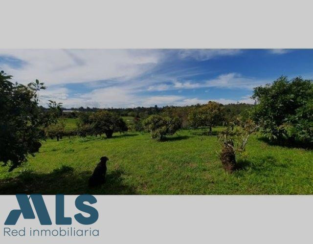 LOTE EN VENTA EN EN CARMEN DE VIBORAL el-carmen - rural