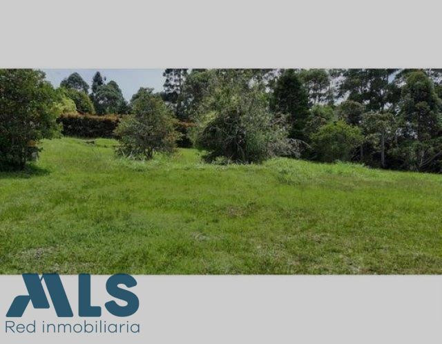 LOTE EN VENTA EN EN CARMEN DE VIBORAL el-carmen - rural