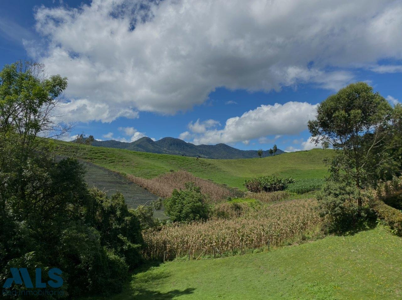 Lote en parcela para la venat en el Carmen de viboral el-carmen - v quirama