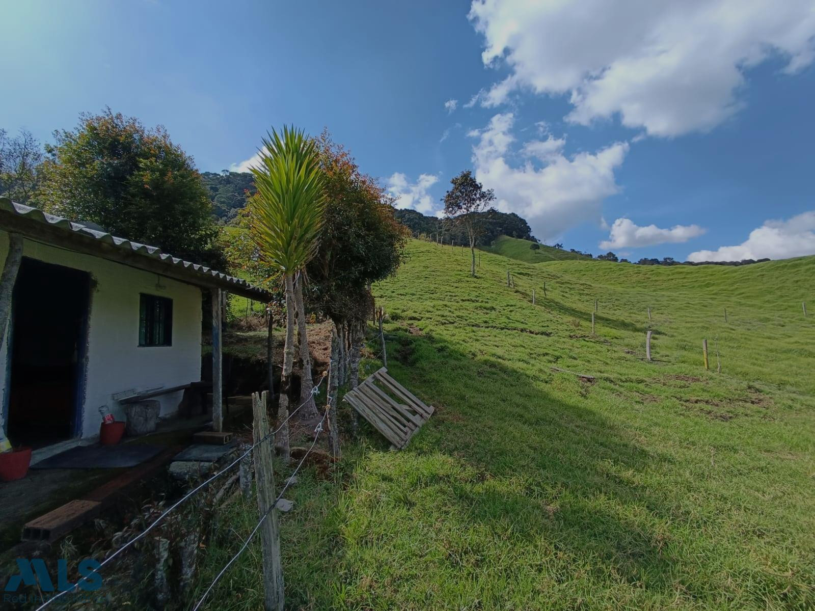 ¡Oportunidad única! Finca ideal para producción agrícola entrerrios - vereda el filo