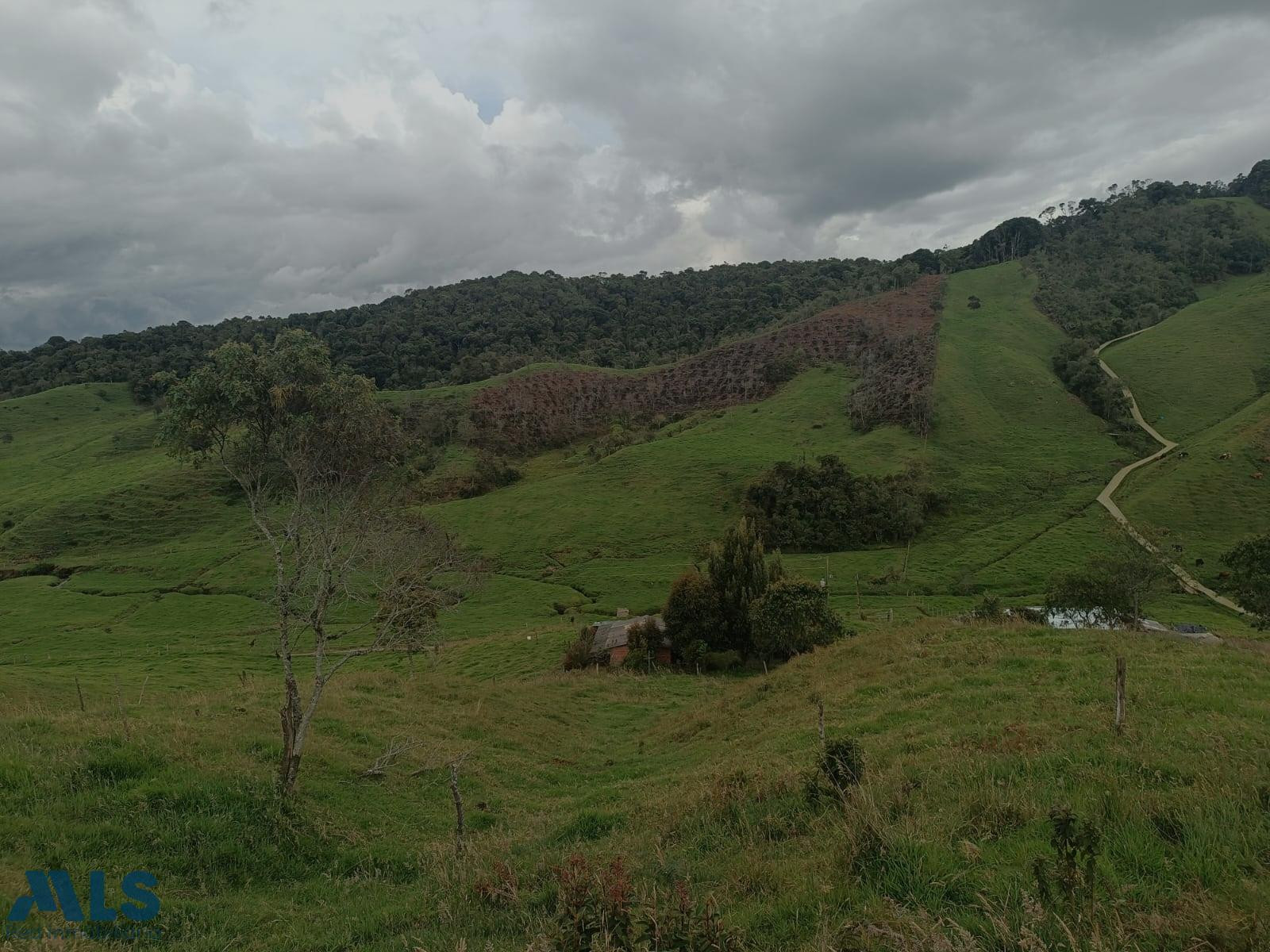¡Oportunidad única! Finca ideal para producción agrícola entrerrios - vereda el filo