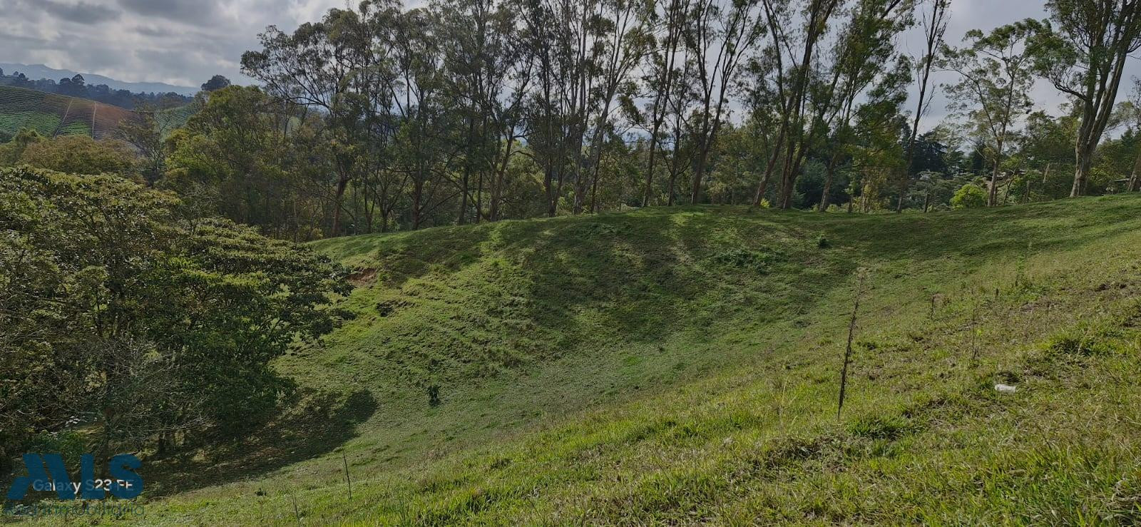 FINCA PARA PARA VENTA EN RIONEGRO rionegro - v el rosal