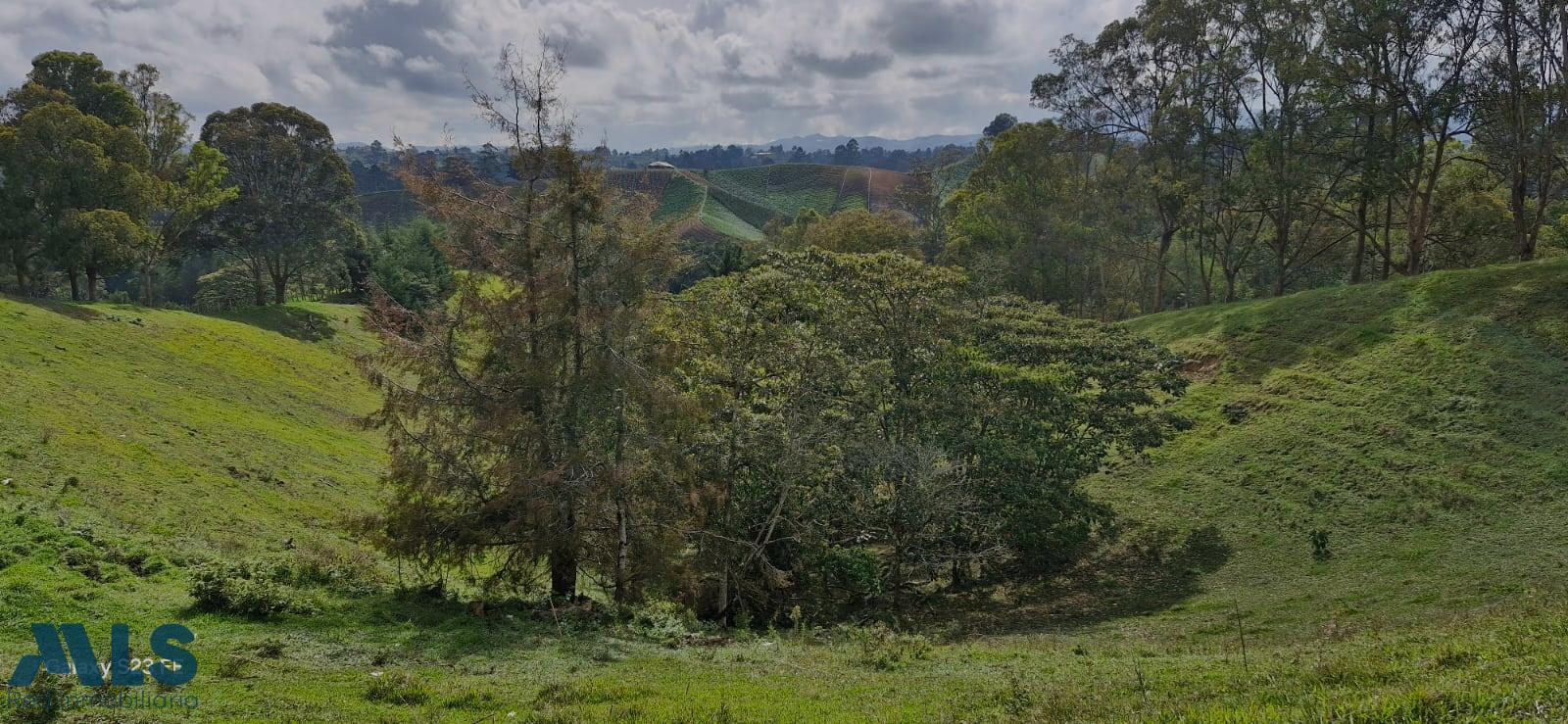 FINCA PARA PARA VENTA EN RIONEGRO rionegro - v el rosal