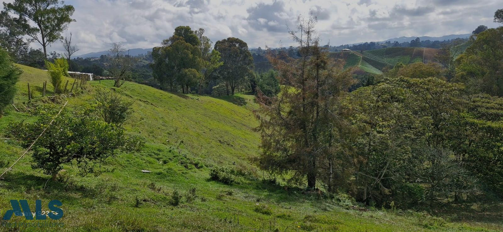 FINCA PARA PARA VENTA EN RIONEGRO rionegro - v el rosal