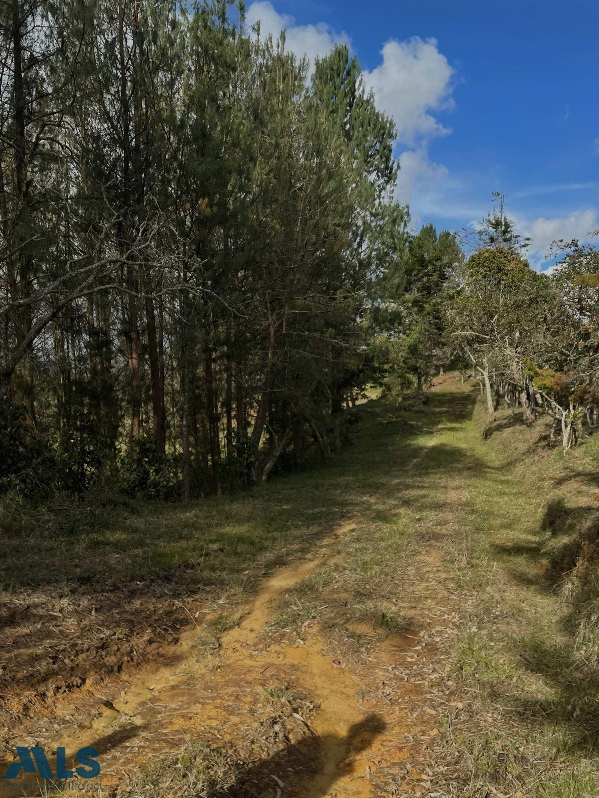 Venta Finca Santo Tomás san-vicente - rural