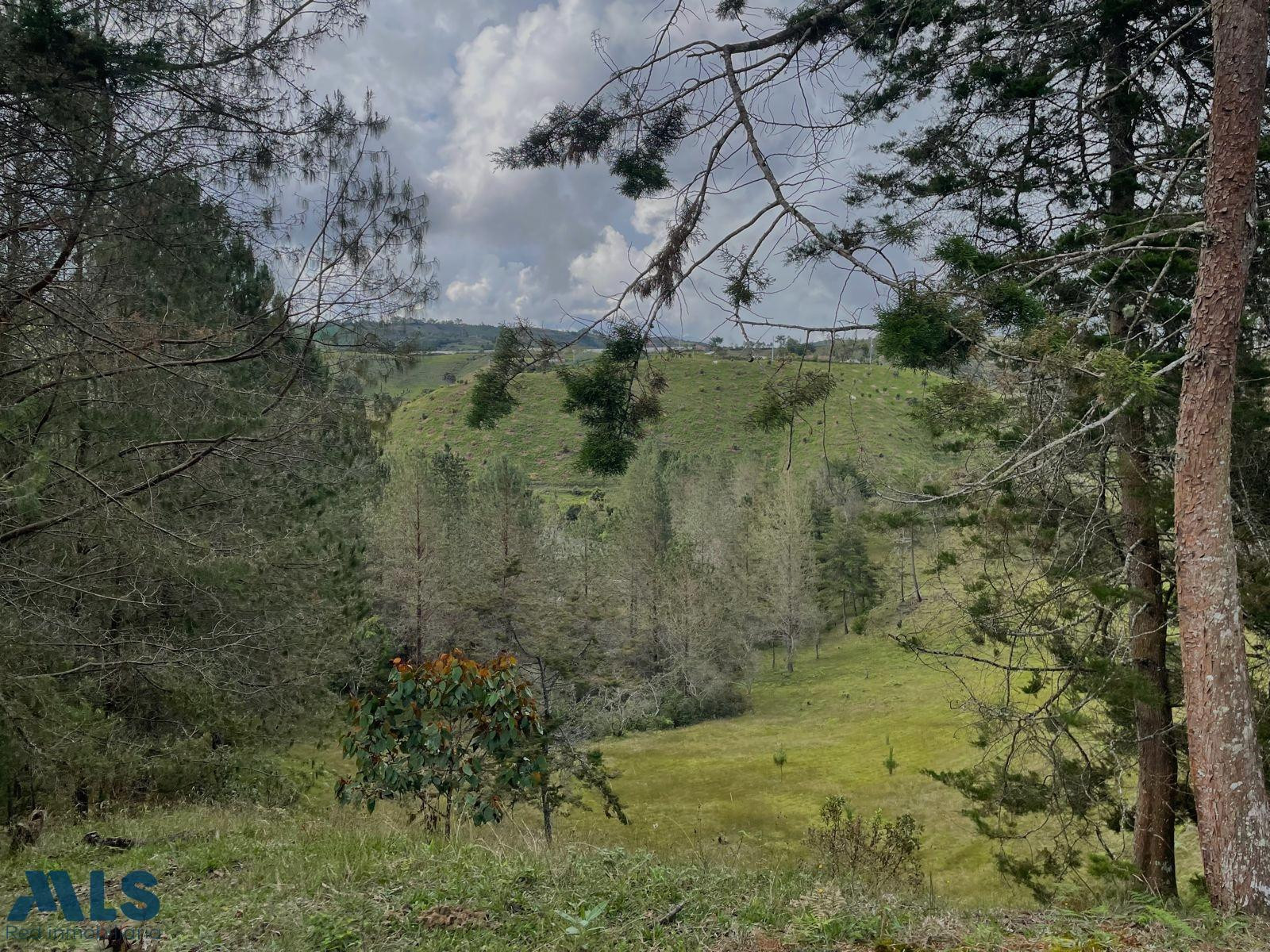Venta Finca Santo Tomás san-vicente - rural