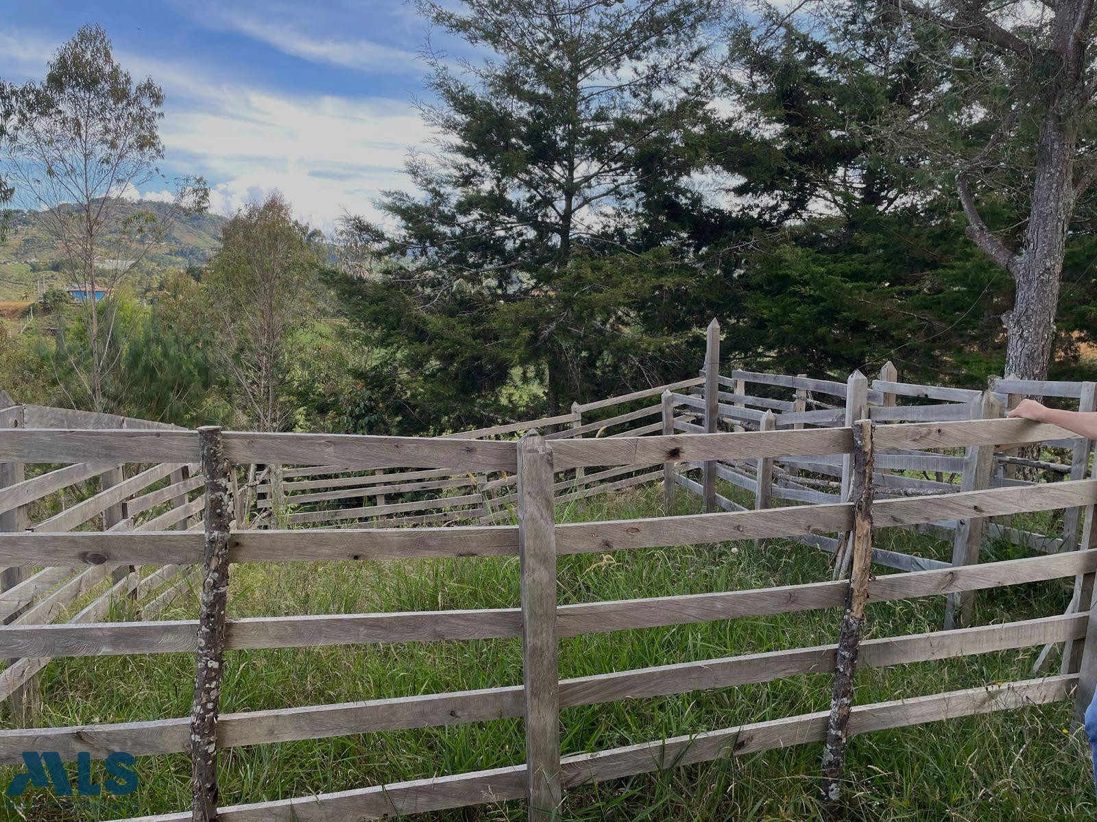 Venta Finca Santo Tomás san-vicente - rural