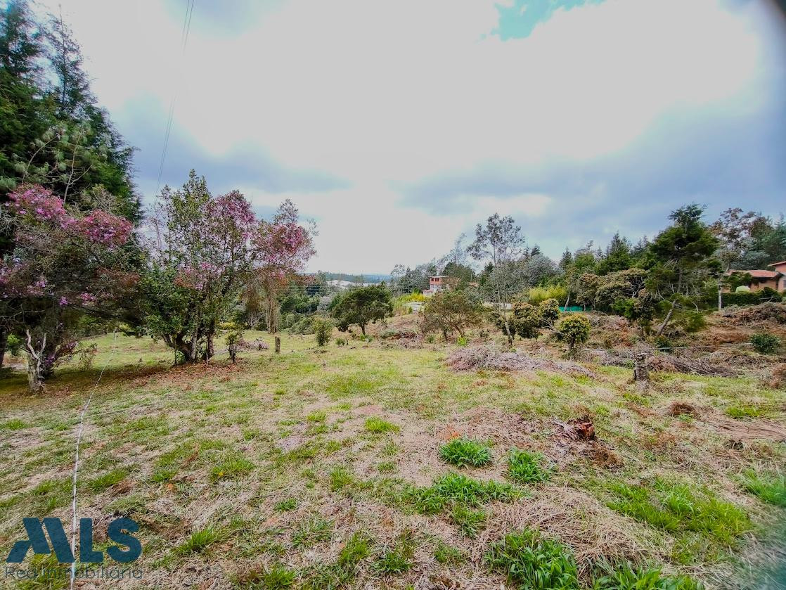 LOTE EN GUARNE 100% APROVECHABLE guarne - v piedras blancas