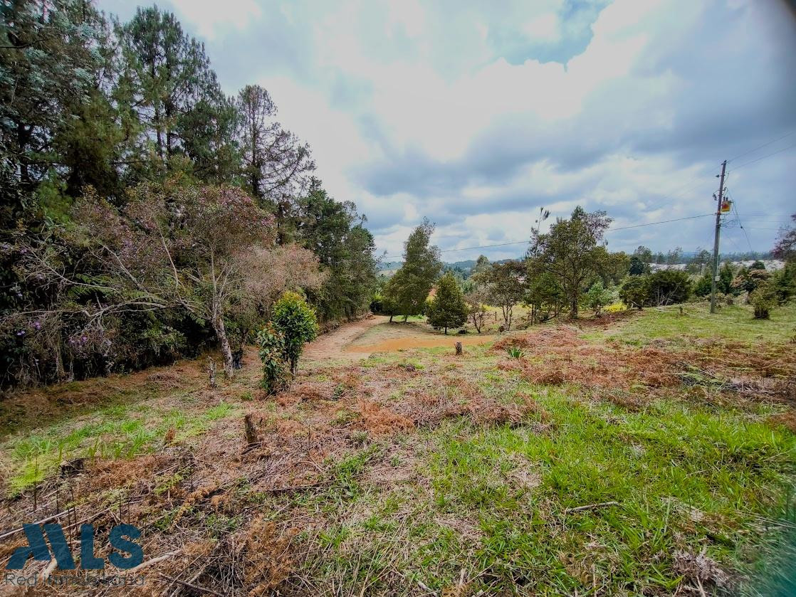 LOTE EN GUARNE 100% APROVECHABLE guarne - v piedras blancas