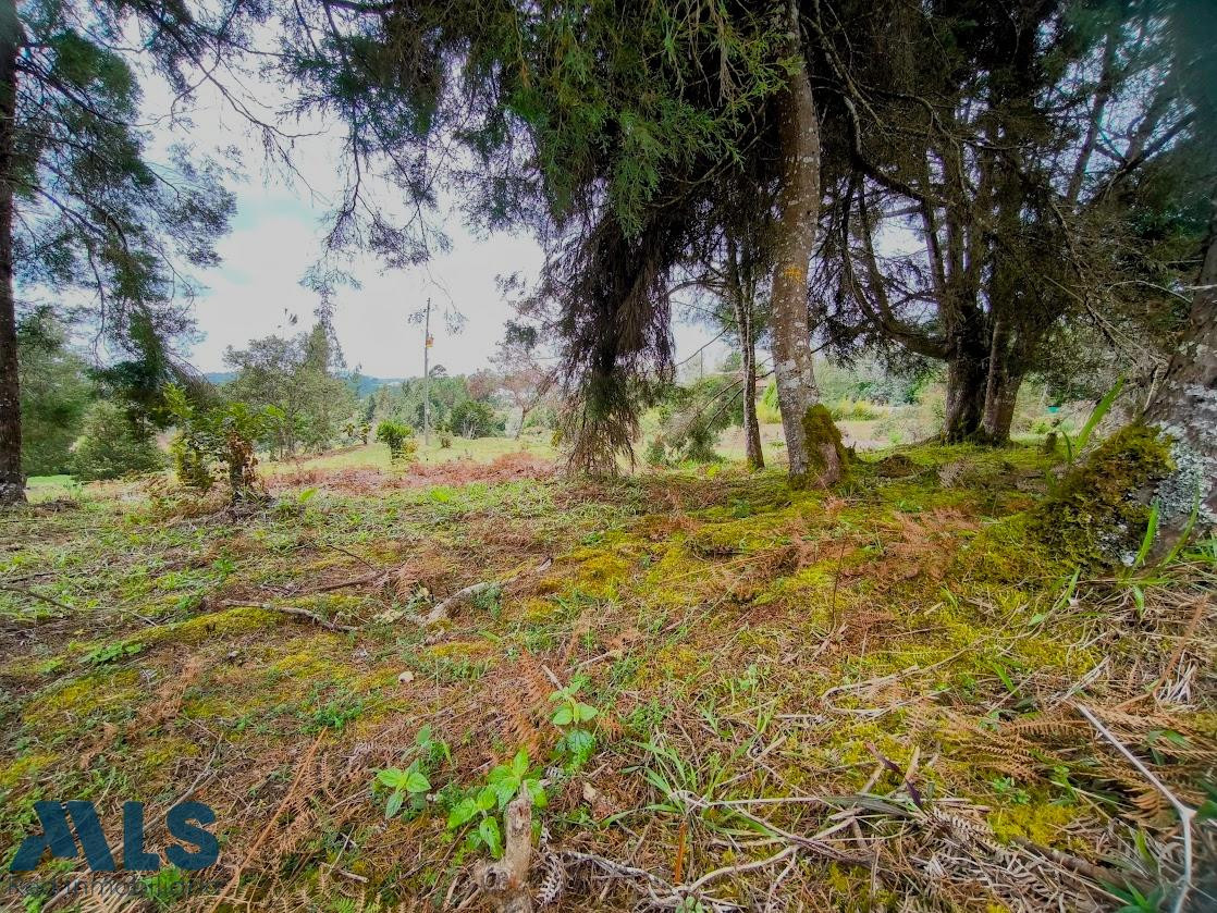 LOTE EN GUARNE 100% APROVECHABLE guarne - v piedras blancas