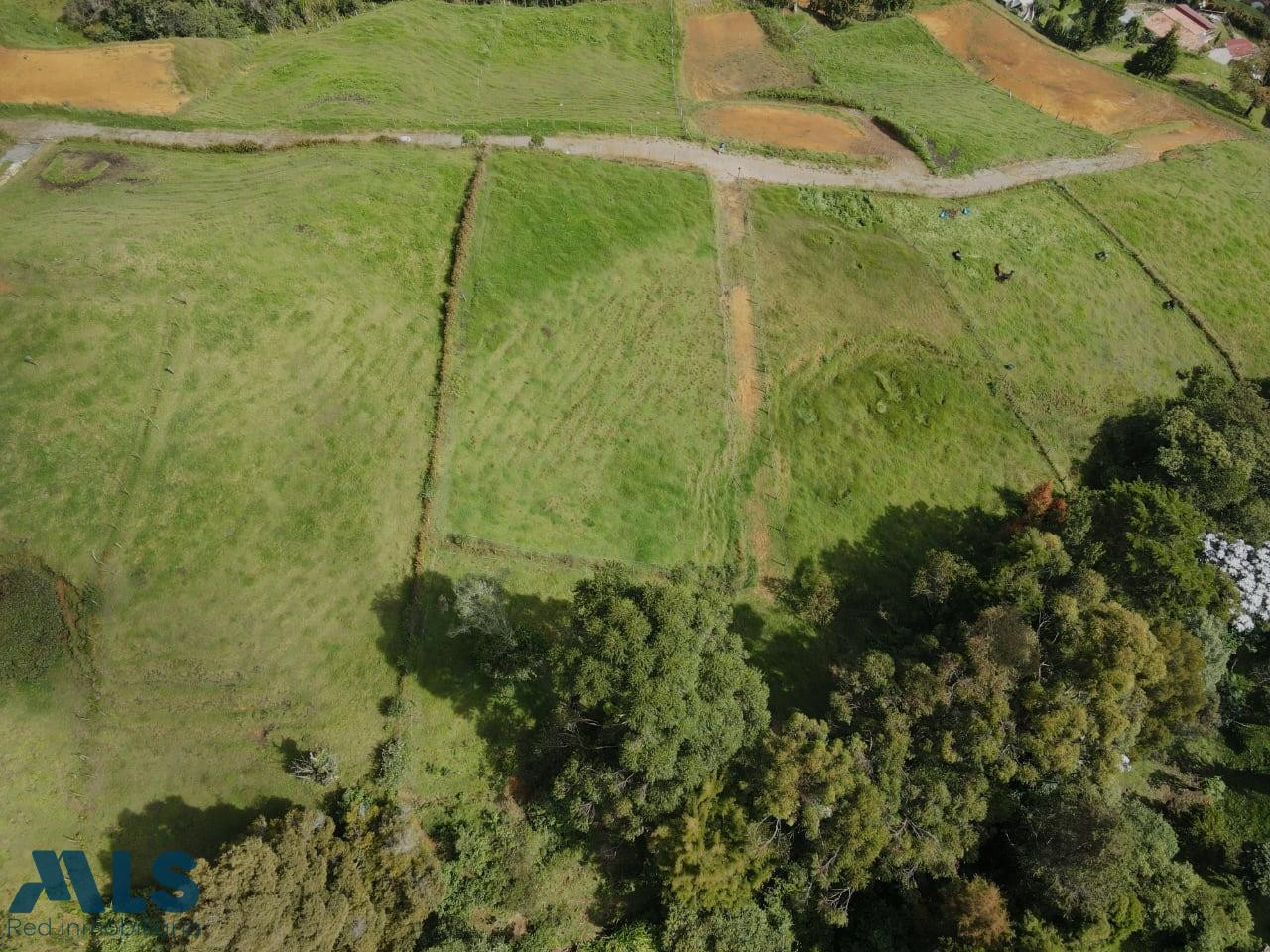 VENTA ESPECTACULAR LOTE EN GUARNE , FORMA PLANA 1700 MTS guarne - san isidro