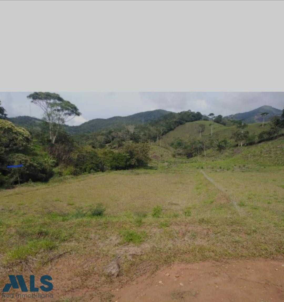 Lote en Santa Rosa de Osos, V El Caney, Entrelagos santa-rosa-de-osos - v san pablo del porce