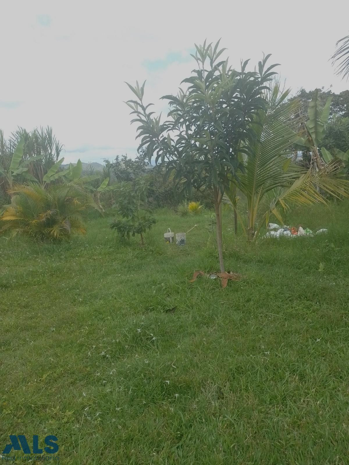 Finca en venta en San Roque Antioquia Vereda La Mora san-roque - v el piramo