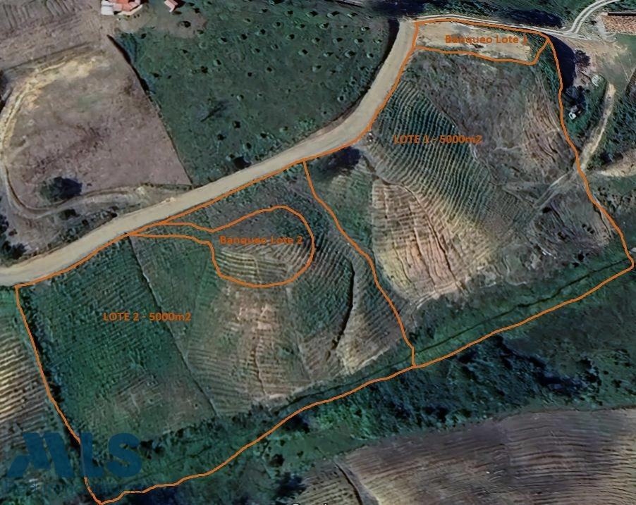 EXCELENTES VIAS DE ACCESO Y AREAS concepcion - rural
