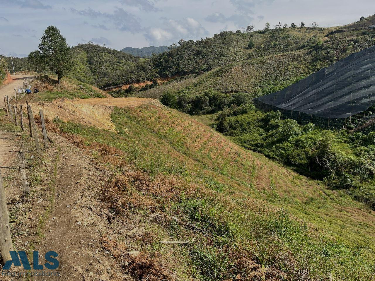 EXCELENTES VIAS DE ACCESO Y AREAS concepcion - rural