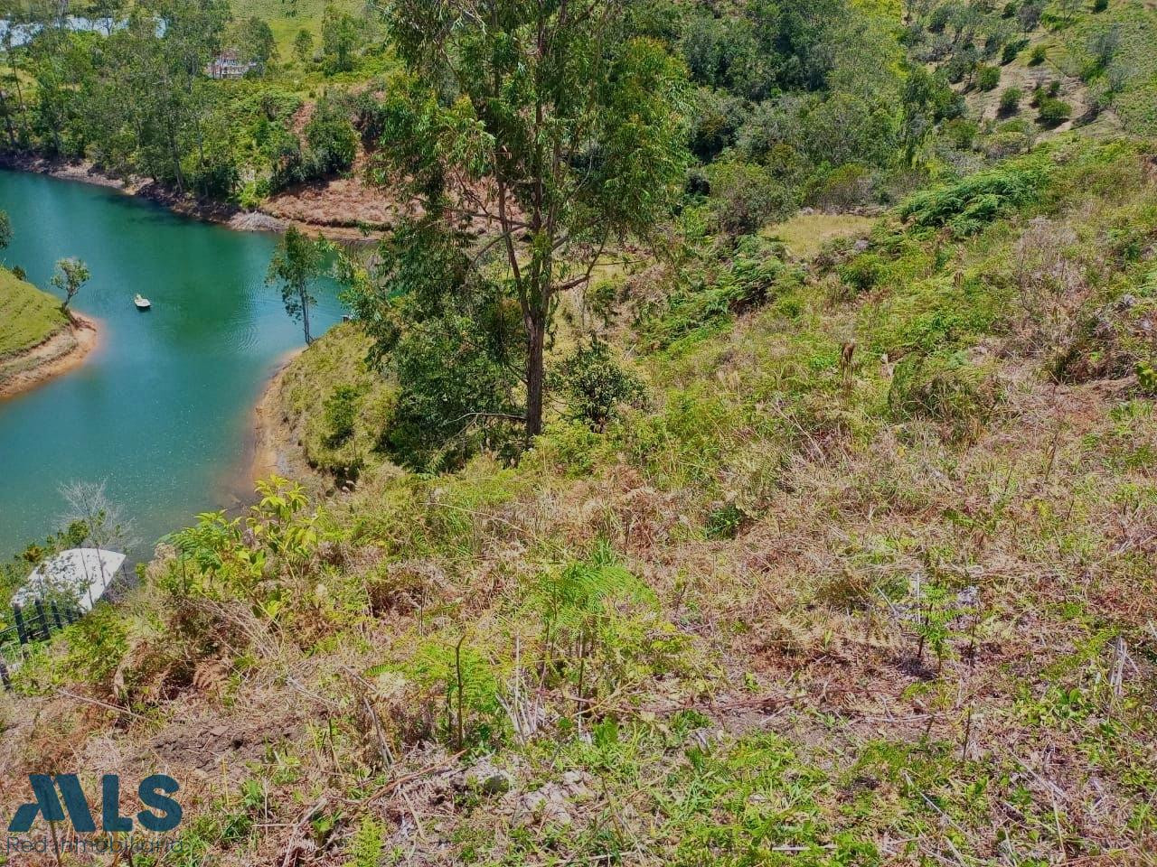 Lote con vista a la represa, ideal para desarrollo!! el-penol - bonilla arriba