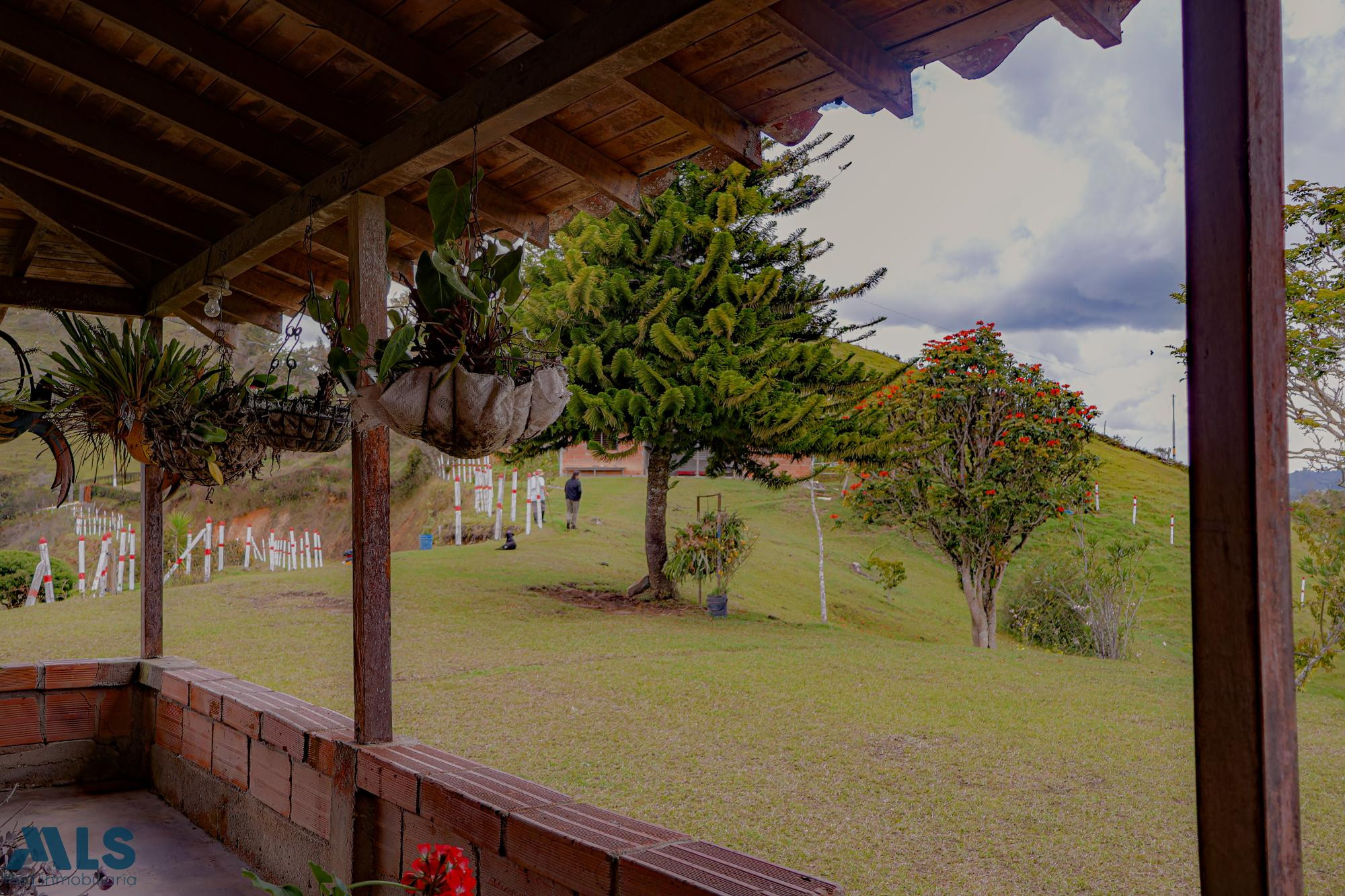 Casa - Lote en Venta san-vicente - urbano
