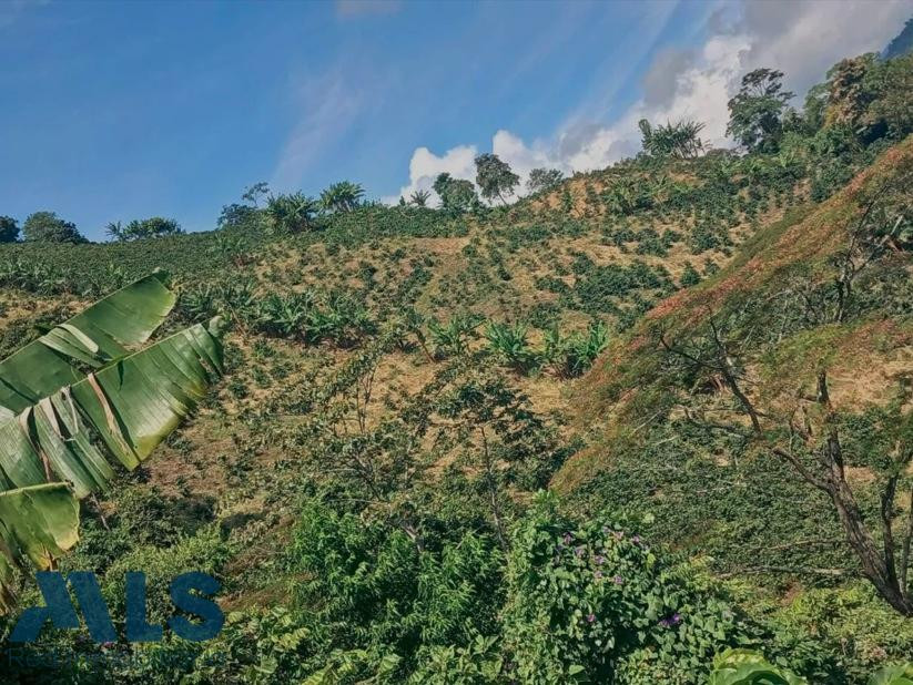 FINCA SANTUARIO pereira - cerritos