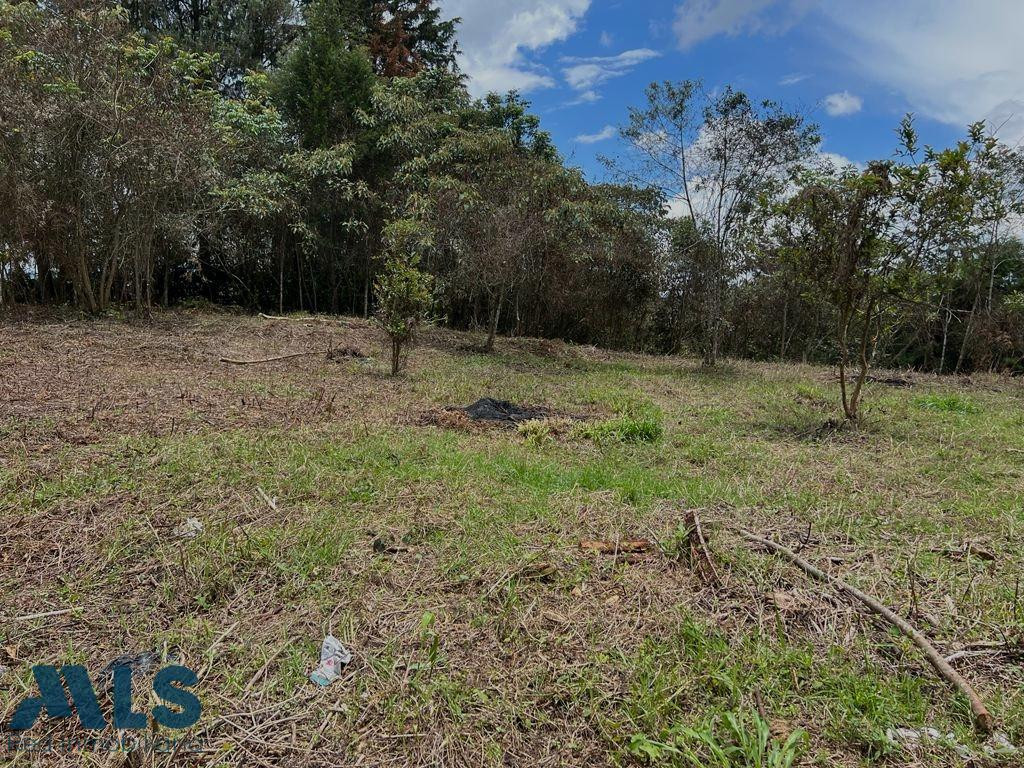 Venta de excelente Lote en Rionegro, sector Los Pinos rionegro - v los pinos