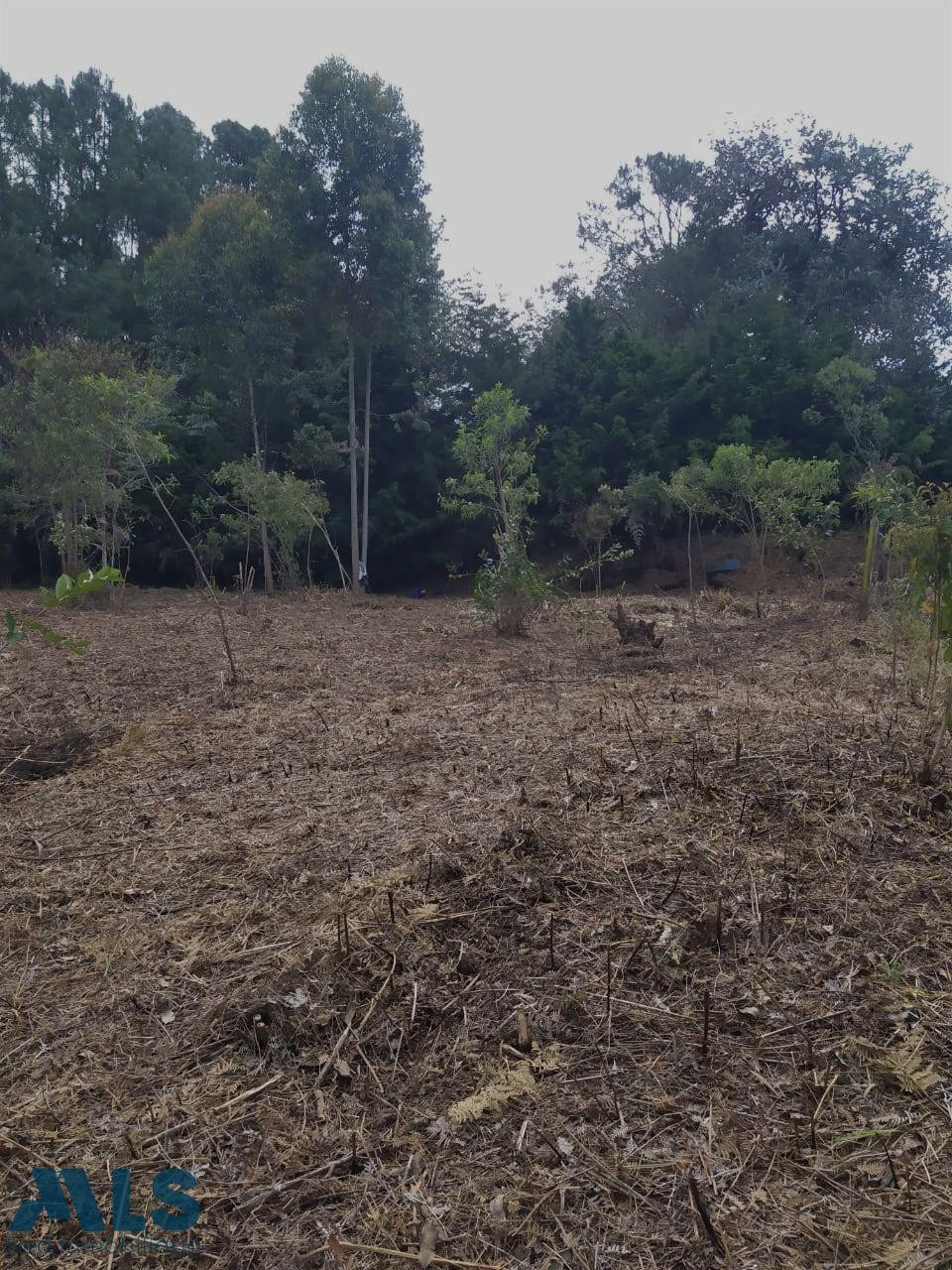 Lote en venta en rionegro excelente sector V. Los Pinos rionegro - v los pinos