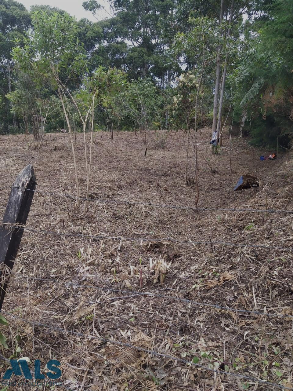 Lote en venta en rionegro excelente sector V. Los Pinos rionegro - v los pinos