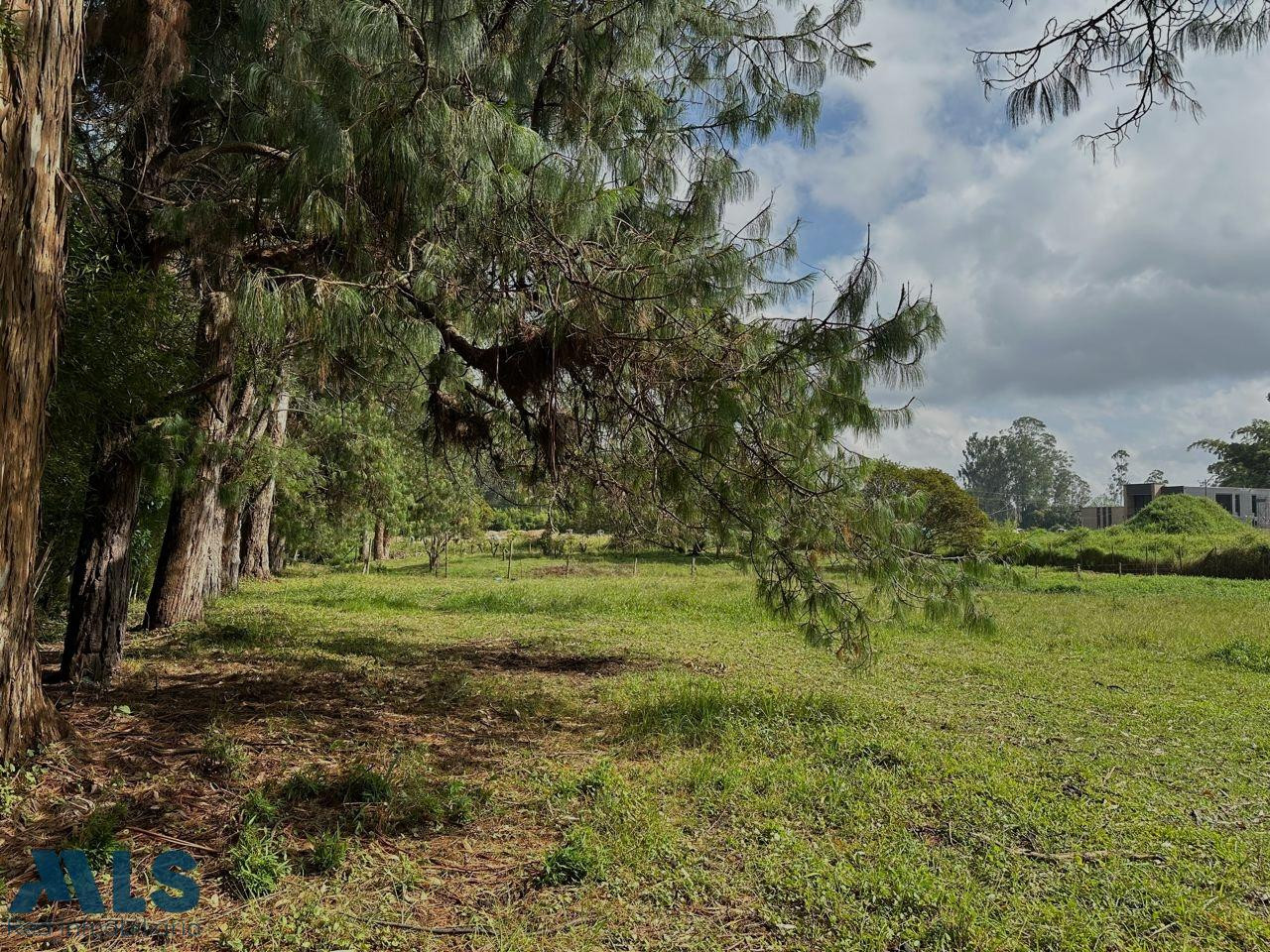 LOTE PARA VENTA EN LA VEREDA CHIPRE rionegro - v chipre