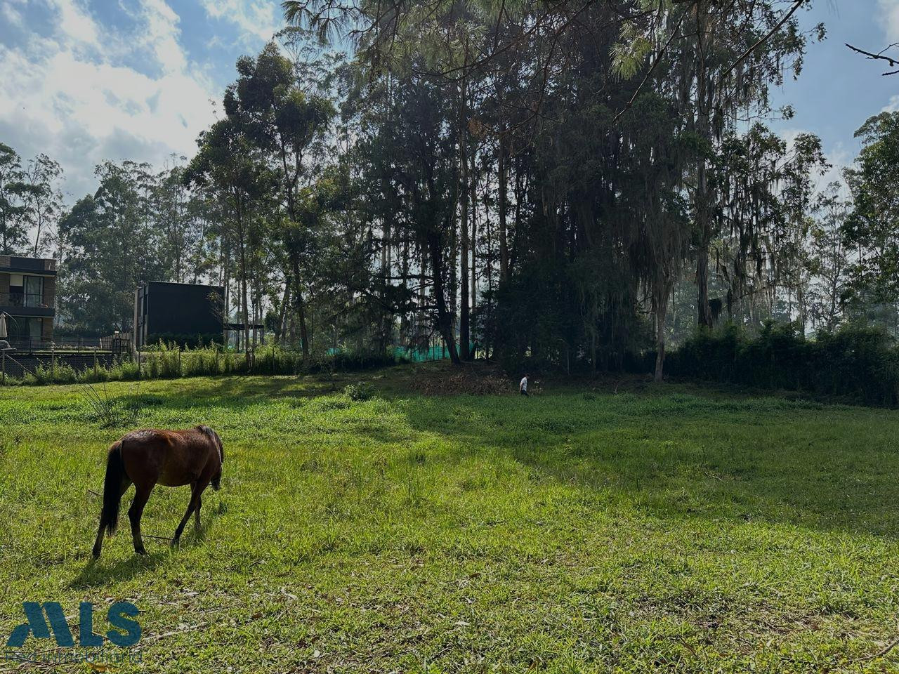 LOTE PARA VENTA EN LA VEREDA CHIPRE rionegro - v chipre