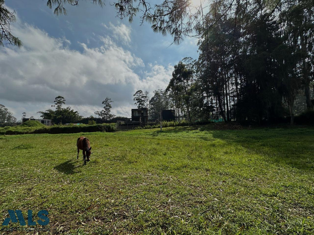 LOTE PARA VENTA EN LA VEREDA CHIPRE rionegro - v chipre