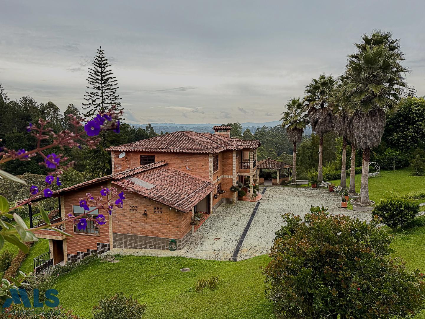 Paz, Naturaleza y Ubicación Estratégica en el Oriente Antioqueño rionegro - aeropuerto