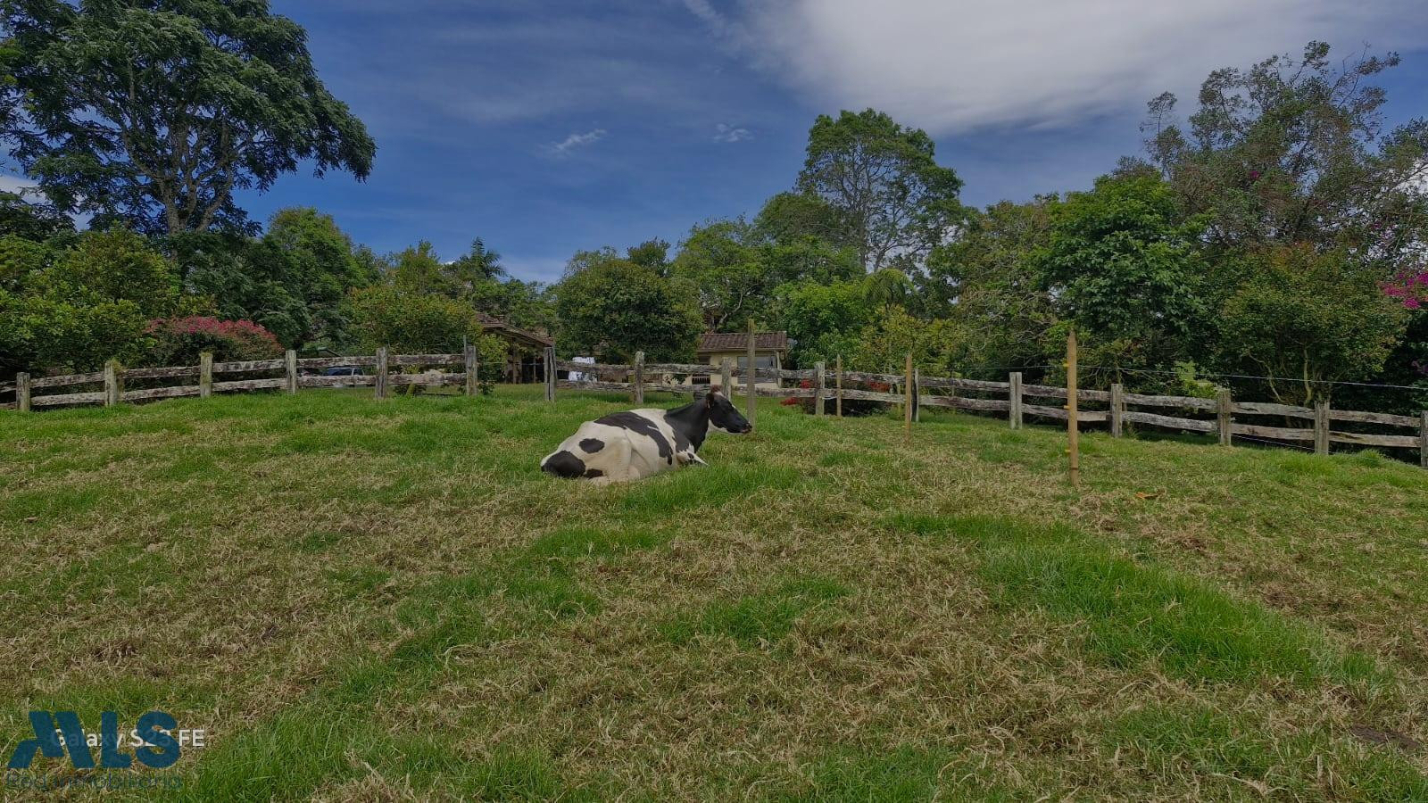 Finca para venta en El Carmen de Viboral el-carmen - v el canada