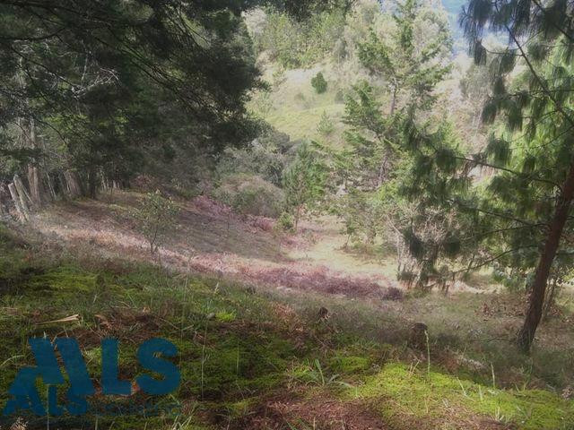 Lote independiente para desarrollar en Santa Elena guarne - santa elena