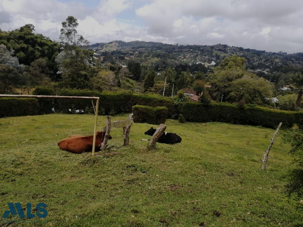 LOTE INDEPENDIENTE EN GUARNE CON AGUA PROPIA ! guarne - rural