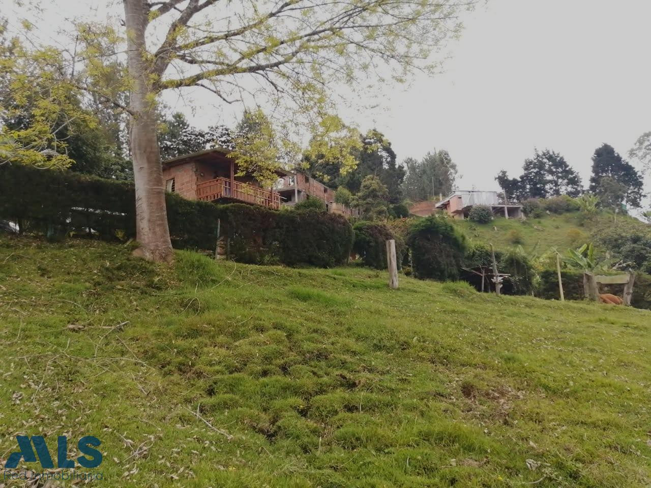 LOTE INDEPENDIENTE EN GUARNE CON AGUA PROPIA ! guarne - rural