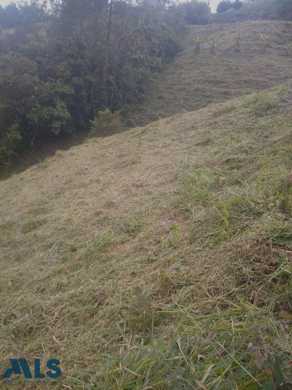 LOTE SANTABARBARA santa-barbara - rural